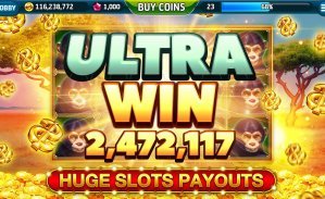 betpro Captains Bounty betpro par tayyar